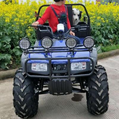 China 250cc ATV / 200cc Farm Quad Utility Bike For Sale 9.5L for sale