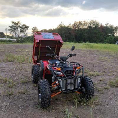 China Powerful 250CC Sport ATV Taurus Chinese Gasoline Off-Road ATV With Lightweight 9.5L Chasing for sale