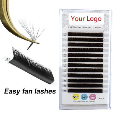 China Rnsanja New Design 0.05mm False Private Label Full Volume Individual Lashes Mink Volume Individual Lashes Fast Blooming Easy Fanning Eyelash Extension Trays for sale