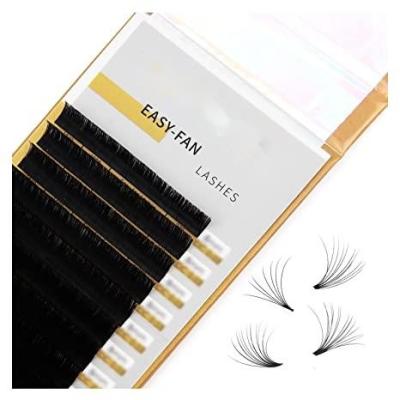 China Rnsanja New Design 0.07mm Custom Faux Private Label Full Volume Individual Lashes Supplies Mink Volume Easy Fan Eyelash Extension Trays for sale