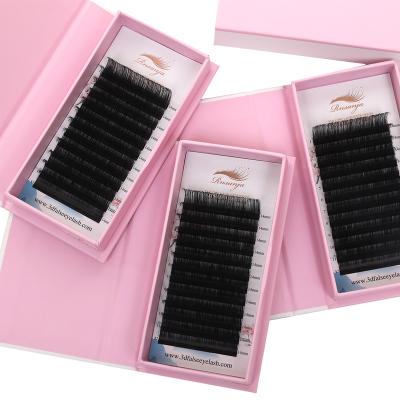 China Professional Rnsanja Private Label Volume Eyelash Extensions Velvet Wick Super Soft Super Soft Extension Quality Supplier for sale