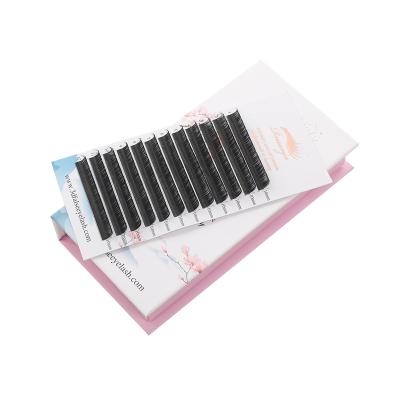 China Professional Rnsanja Fan Lash Extensions Volume Eyelash Extension Black Super Soft Silky Super Quality Easy Flower in 1 Second for sale