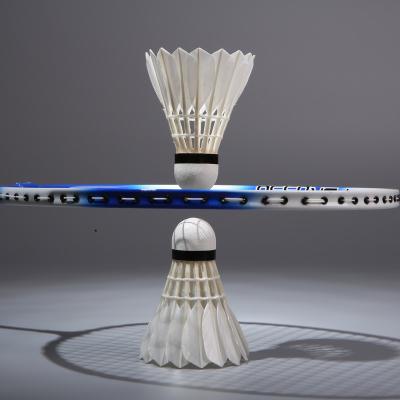 China Professional duck feather badminton tournament hot sale with brand string high quality badminton for sale