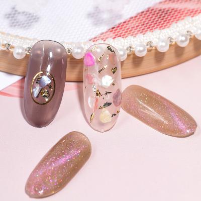 China Finger Nail Art Hot Selling Set of 12 Colors Shiny Shell Flake Nail Sequins Glitter Decoration for sale