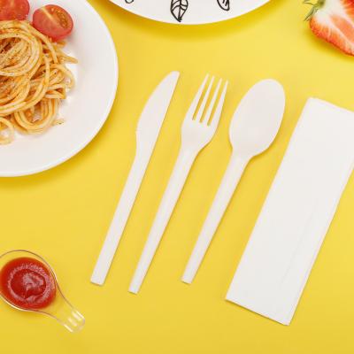 China PLA Maker Biodegradable PLA Disposable Dinner Cutlery Set Spoons Disposable Spoon Cutlery Customized Eco Friendly for sale