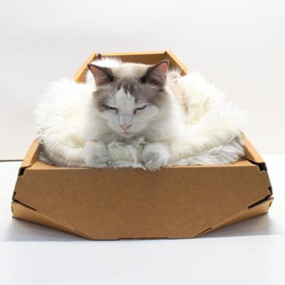 China Sustainable Wholesale Cat Scratchboard Cardboard House Foldable Creative Cat Indoor House toy for sale