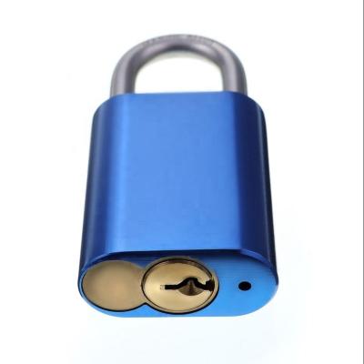 China Padlcok 19mm 570 Padlock 233A Padlock Cylinder Padlock Brass Replaceable Cylinder Figure 8 Aluminum Stainless Steel Shackle for sale