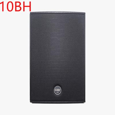 China NO CMF Single 10 BH 250 W Professional Audio Music Conference Stage Entertainment Passive coaxial full-range speaker for sale