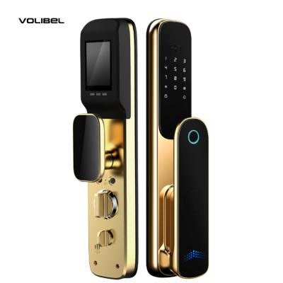 China Hotel Home High Quality Face Recognition Wifi Cat Eye Security Smart Door Electronic Lock With Camera for sale