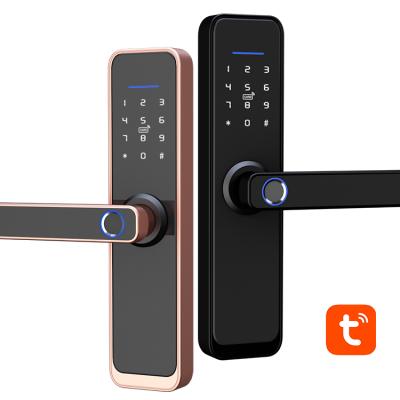 China Anti-peep Code Electronic Slide Zinc Alloy Automated Biometric Front Door Lock with wifi for sale