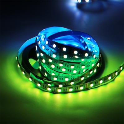 China LANDSCAPE Hot Sale SMD 5050 RGBW Led Strip Light Waterproof Flexible Strip 5m/roll IP65 for sale