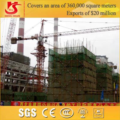 China 12 Tons H3/36B Tower Crane (QTZ250) with 60m jib, tower crane h3/36b for sale