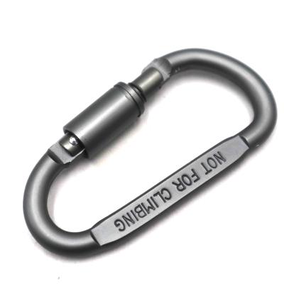 China Retail Industry Factory Safety Tether Spring Hook Carabiner Direct Quick-Hang for sale