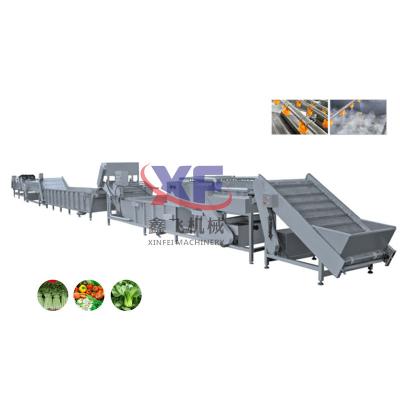 China food & Automatic Line Beverage Factory Blueberry Avocado Wash Sorter Suppliers for sale