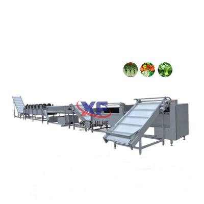 China food & Beverage Factory Fruit Avocado Bubble Drying Seal Washing Machine Production Lines for sale