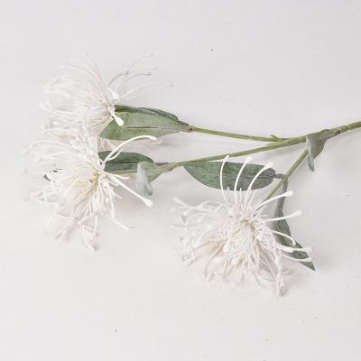 China Hot Sale VF-054 Dandelion Artificial Flowers Needle Guard Chrysanthemum Decoration Silk And Plastic Artificial Daisy Flowers For Wedding Dec for sale