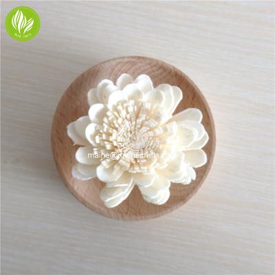 China Viable Handmade Sola Wood Flower for Reed Diffuser for sale