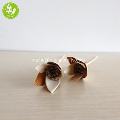 China Sola Sustainable Wooden Flower Handmade Sola Flower for sale