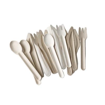 China Disposable Biodegradable Cutlery Sets Eco-friendly Bagasse Spoon 6inch Disposable Sugarcane Handler for sale