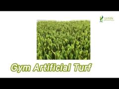 Synthetic Gym Artificial Turf 40mm Height Landscape Colored PE PP