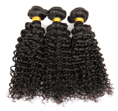 Chine les cheveux 9A bouclés frisés naturels empaquettent des prolongements dessinés par double de cheveux de trame à vendre