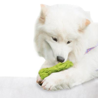 China 2022 Viable Amazon Hot Sale Emulational Bone Shape Dog Toys Two Sizes Pet Training Toy Funny Pet Toys TPR Material for sale