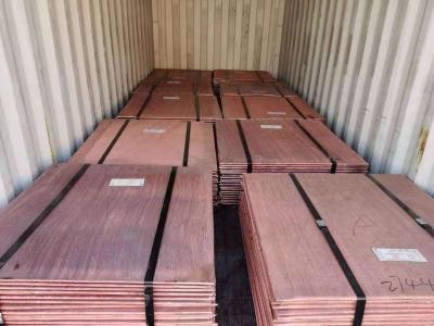 Cina Chinese Best Quality Copper Cathode and Product 99.995 914*914*12 in vendita