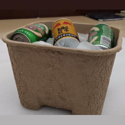 China Environmentally Friendly and Biodegradable Degradable Disposable Charcoal Barbecue Box-Pulp Storage Pulp Box for sale