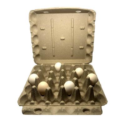 China Biodegradable Packaging Containers Biodegradable Packaging Box Paper Pulp Egg Tray Cardboard for sale