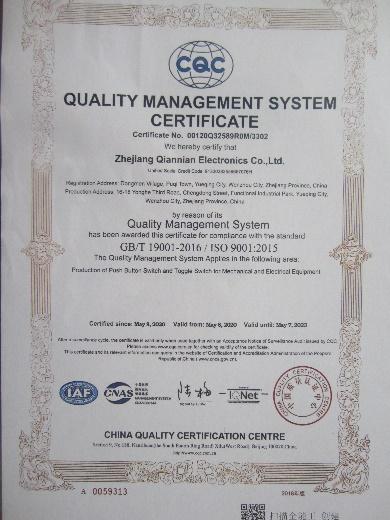 ISO9001 - Zhejiang Qiannian Electronic Co., Ltd.