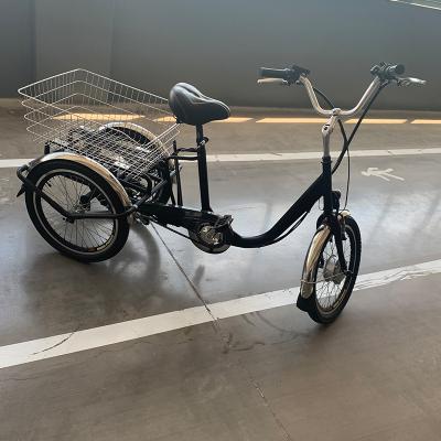 China 36V 250W 10Ah multifunctional electric tricycle for old man for sale