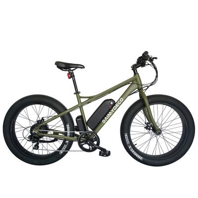 China Standard fat tire bike beach snow electric bicycle 26