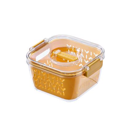 China Viable The Fine Quality Refrigerator Egg Food Fresh Keeping Plastic Storage Box for sale