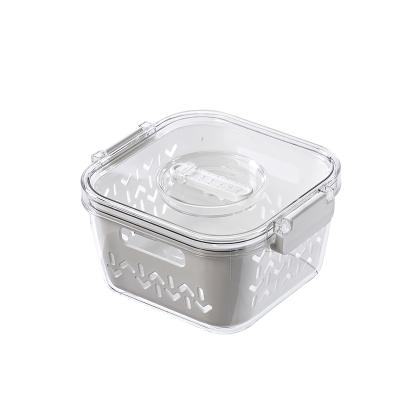 China Viable Wholesale High Quality Kitchen Refrigerator Plastic Cool Storage Box for sale