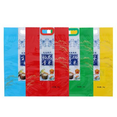 China Custom Recyclable 1kg 5kg Stand Up Plastic Rice Packaging Bag With Handle for sale