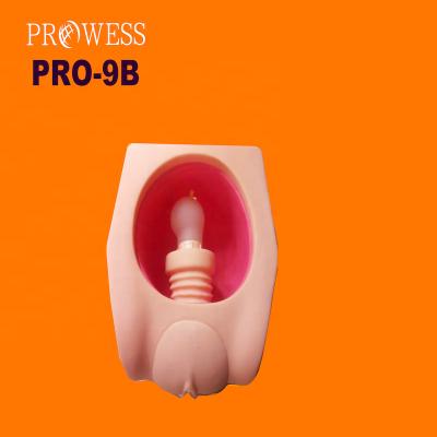 China Detailed anatomy structure PRO-9B advanced female contraception (IUD) training model with vivid uterus, fallopian tubes and vaginal for sale