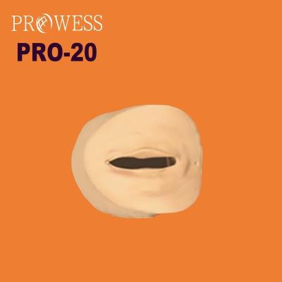 China Detailed anatomy structure PRO-20 advanced cervical change and birth canal model relationships for sale