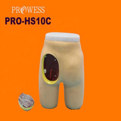 China Hospital Clinic University PRO-HS10C Advanced Hip Muscle Injection and Anatomical Structure Nursing Training Model for School Teaching for sale