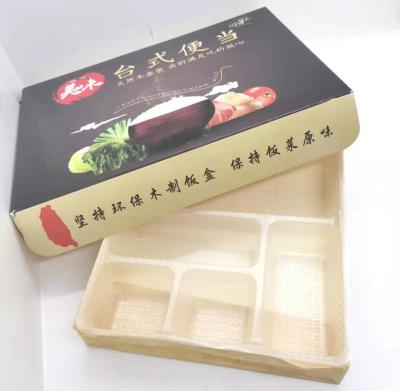 China Faxtory Disposable Wooden Dish Box Disposable Wooden Bento Box for sale