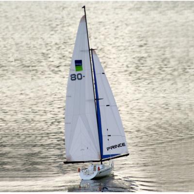 China High Quality Newest RC Hobby Running Weight 2600G 2 Channels Sailboat 2.4G Models For Sale Toy Boat Other Outdoor Toys for sale