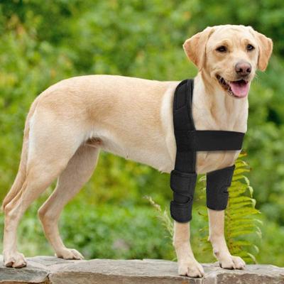 China Front Leg Sleeve Viable for Dogs, Small/Medium/Large Dogs, Aids with Ligament Injury Sprains and Loss of Stability Caused by Arthritis for sale