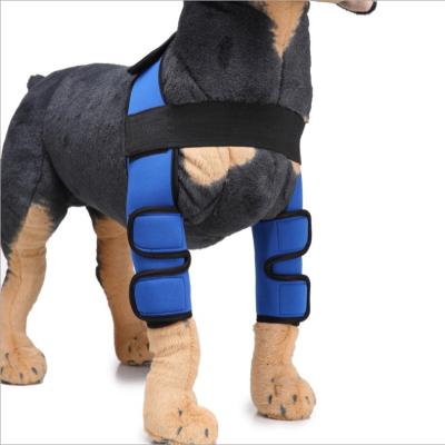 China Small Medium Large Viable Dog Brace Dog Leg Protector Dog Boots Paw Brace Professional Knee Brace for sale