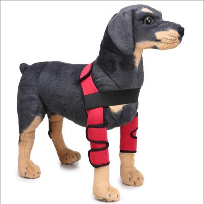 China Durable High Quality Dog Front Leg Hock Braces Elbow Protector For Small Medium And Large Dogs for sale