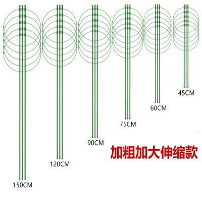 China Idyllic Flower Chamfer Gardening Supplies Trellis Flower Bracket Plant Climbing Frame Iron Circle Flower Pillar Wholesale For Plants for sale