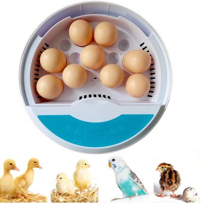 China Be used for HHD scientific research and education home chicken egg brooderincubator egg hatching machine for sale