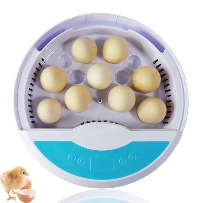 China Best Quality Home Use Automatic Temperature Control Mini 9 Egg Chicken Incubator Sale for sale