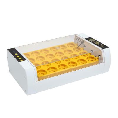 China Newest Mini 24 LED Home Use TQG Automatic Chicken Egg Incubators For Sale Reptile Turkey Spare Parts If Support Online Retail for sale