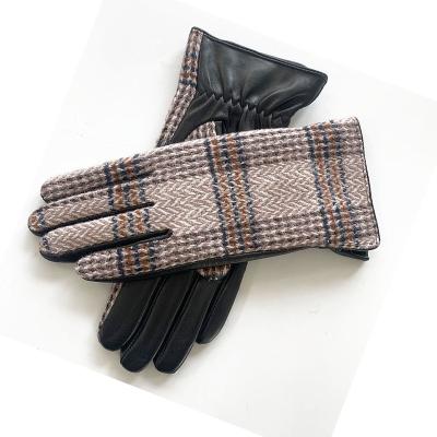 China Cheap Lady Gloves Goatskin Workout Gloves Cotton Gold Coating for sale