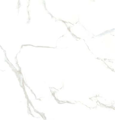 China High Quality Glazed White Marble Procelain Tiles 800x800 Carrara Design for sale