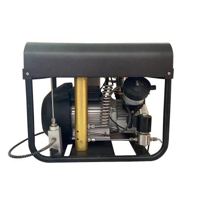 China Lubricated GP Double Cylinder 2.2kw 30mpa 220volt Auto Pump Pcp Air Compressor for sale